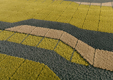 "Net 01" Rug