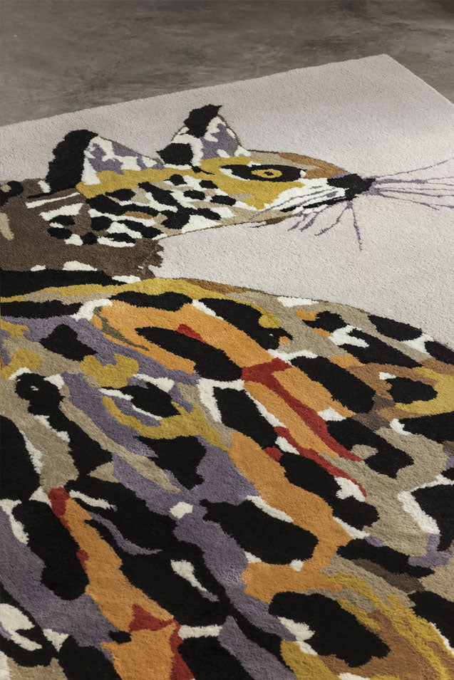 Haughty Cat