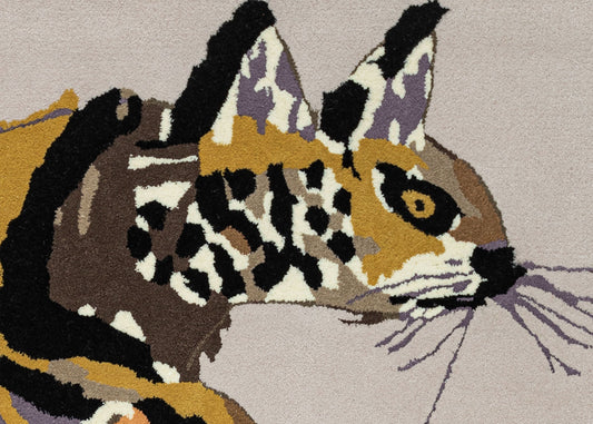 Haughty Cat