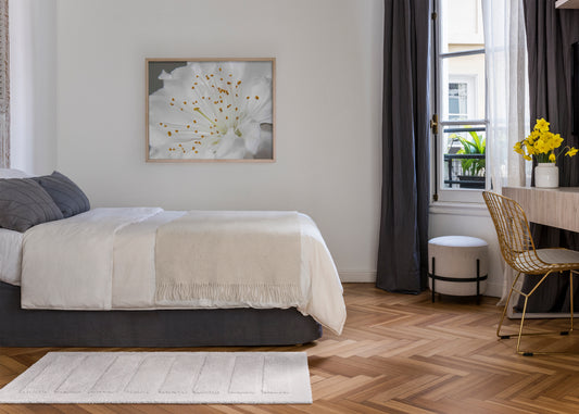 Dash Bed Rugs